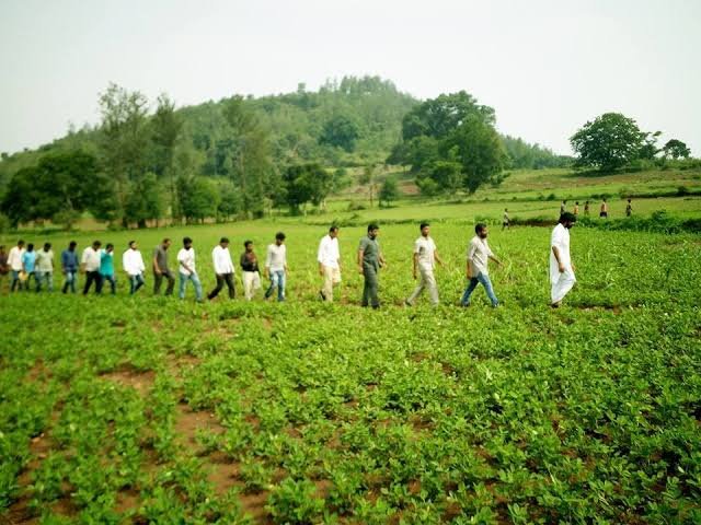 Road through a lush forest