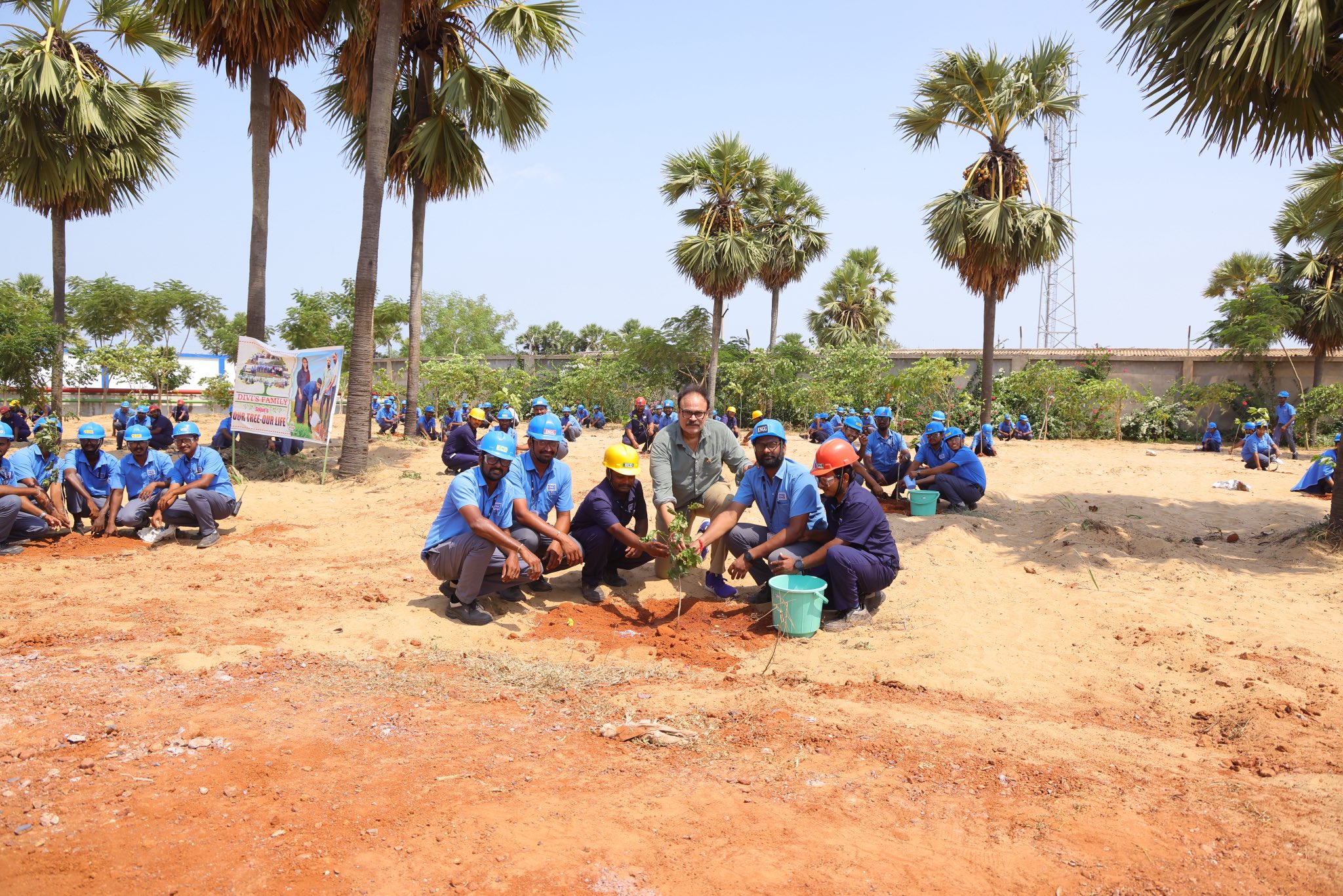 Naga Babu discussing Miyawaki dense forestation for vacant industrial land at Divi's Laboratories