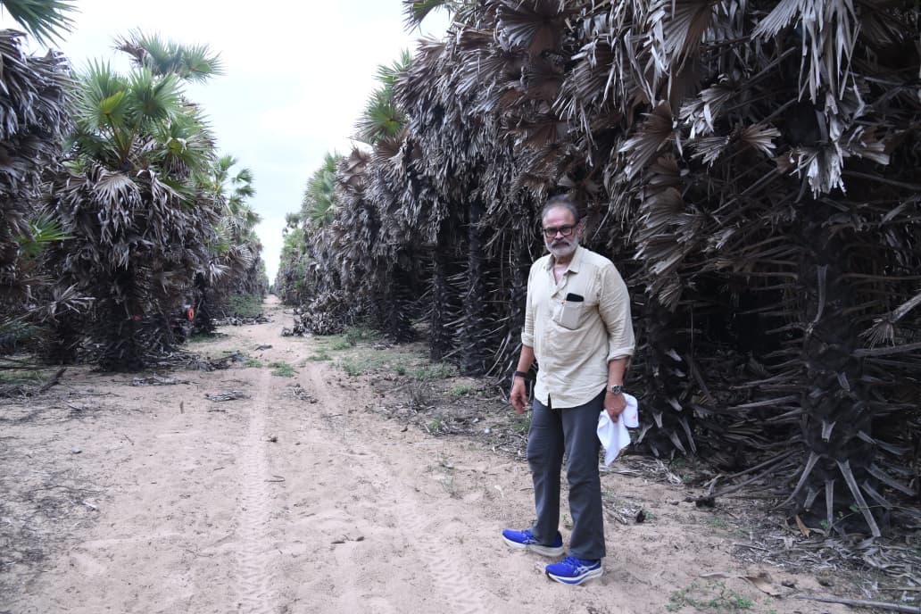 Naga Babu inspecting the established palmyra shelterbelt rows of the Great Green Wall of Andhra Pradesh at Suryalanka