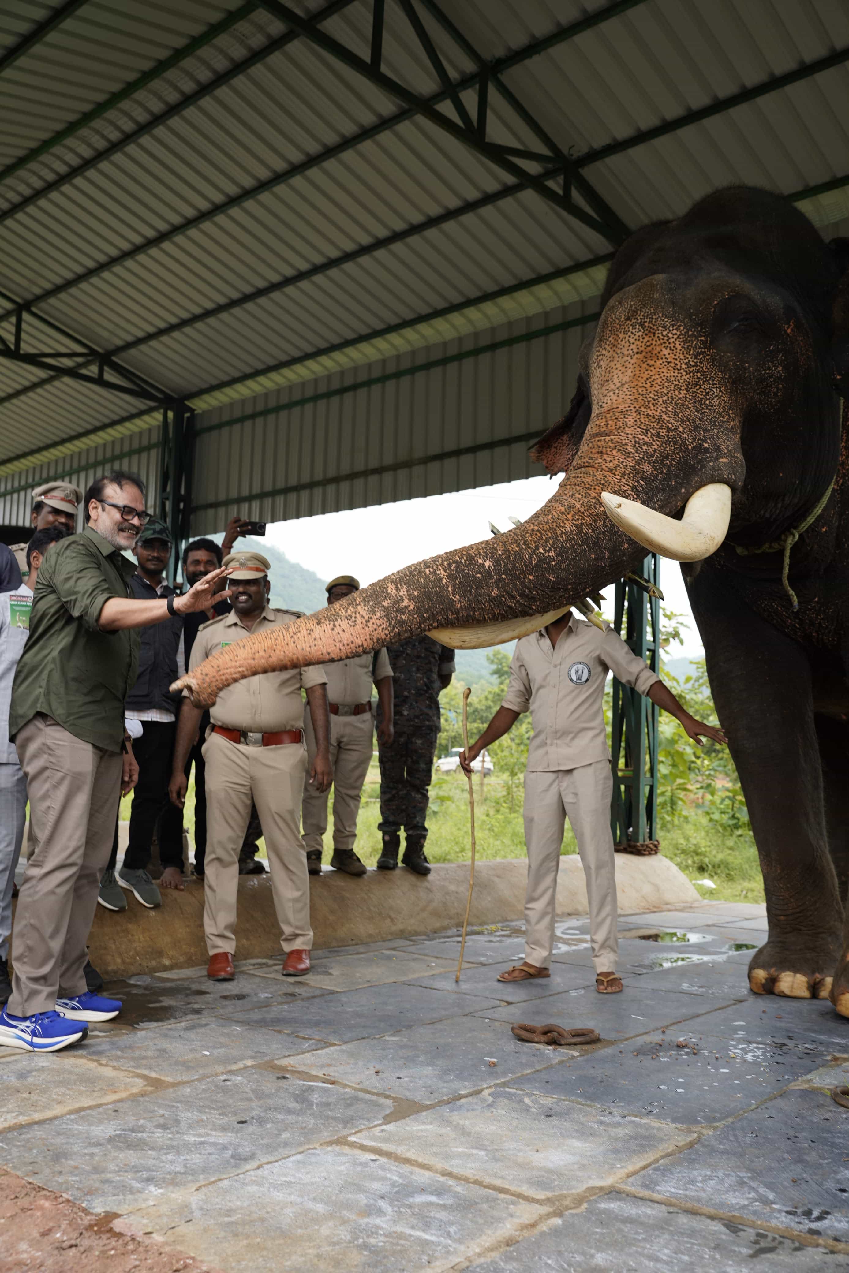 Kumki elephant Jayant raising its trunk in greeting to Naga Babu at the Gucchi Elephant Conservation Centre