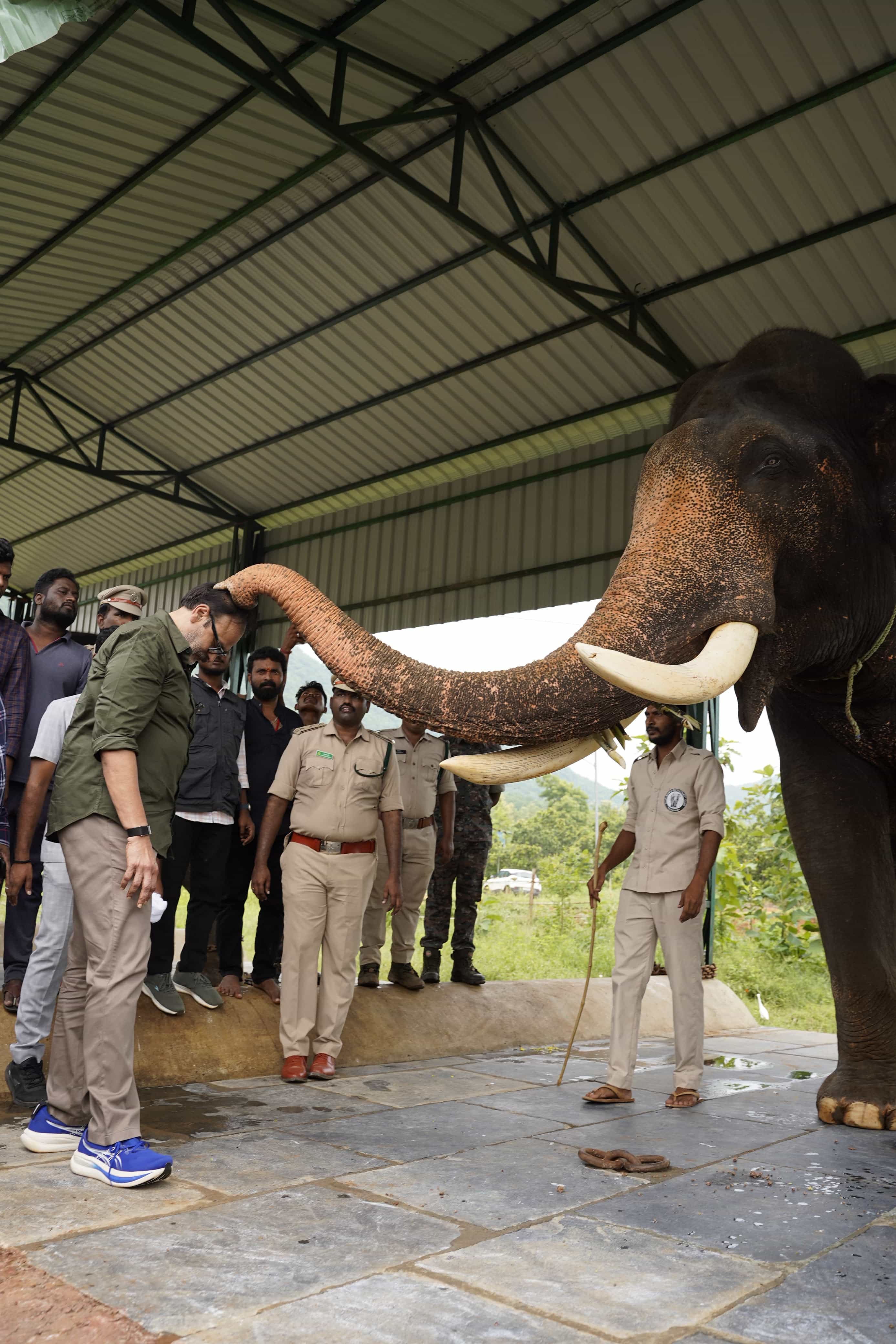 Naga Babu feeding sugarcane to a kumki elephant at the Gucchi Elephant Conservation Centre, Parvathipuram Manyam