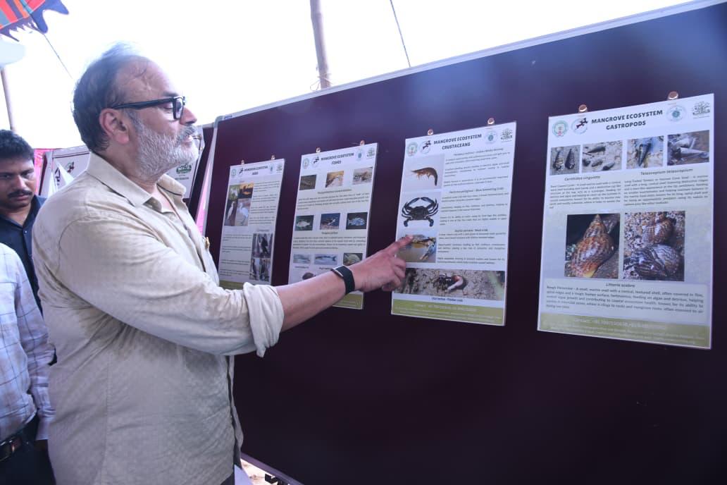 Naga Babu studying the mangrove ecosystem exhibits on crustaceans and gastropods at the sea turtle conservation camp