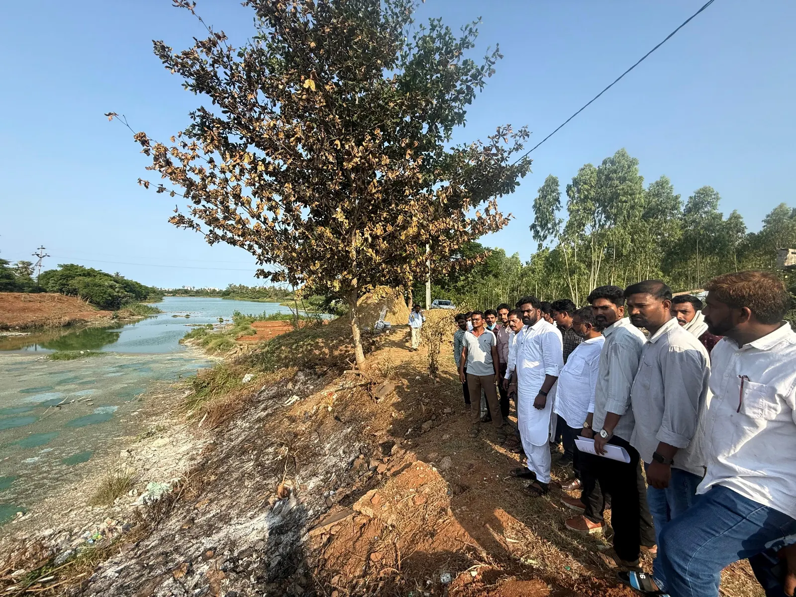 Bheemili Polluted Lake Action: photo 3