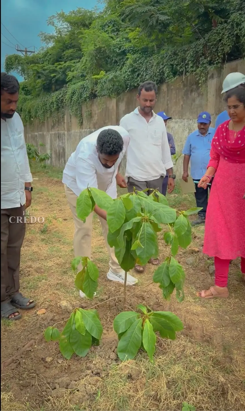 33% Green Cover Review — Pydibhimavaram SEZ: photo 1