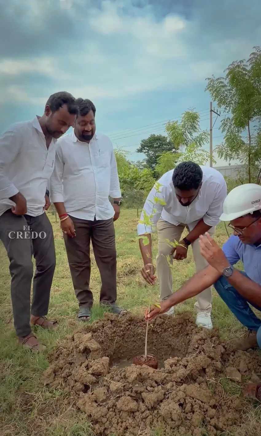 33% Green Cover Review — Pydibhimavaram SEZ: photo 3